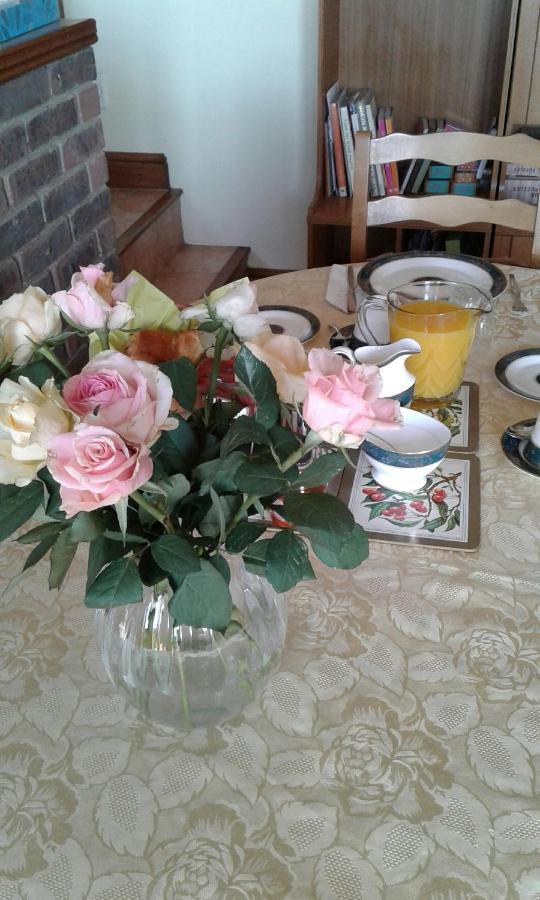 Woodpeckers Cottage B&B Pett エクステリア 写真