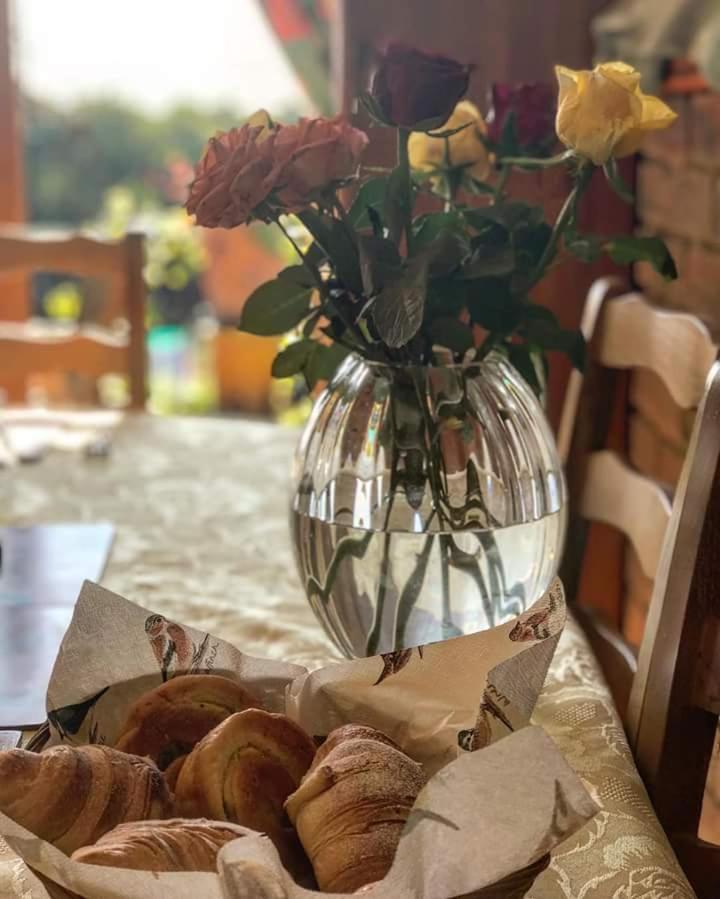 Woodpeckers Cottage B&B Pett エクステリア 写真