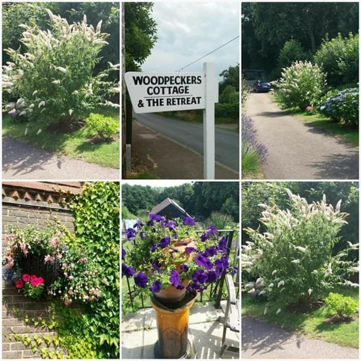Woodpeckers Cottage B&B Pett エクステリア 写真